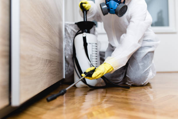 Trusted Denison, TX Pest Control Experts