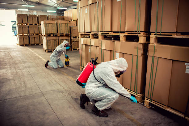 Best Wasp Removal Services  in Denison, TX