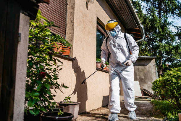 Best Insect Control  in Denison, TX
