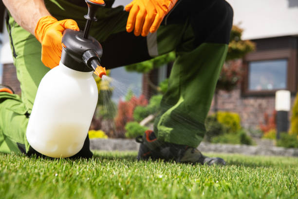 Best Cockroach Control Services  in Denison, TX