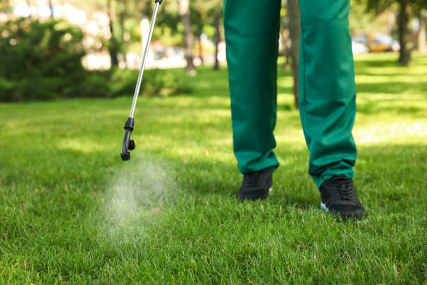 Best Rodent Control Near Me  in Denison, TX
