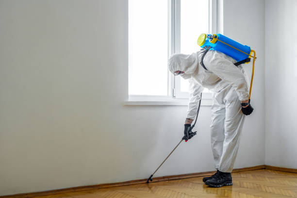 Best Commercial Pest Control Services  in Denison, TX