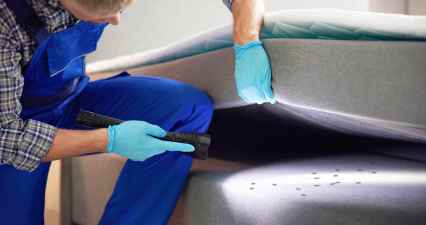 Pest Prevention Services in Denison, TX