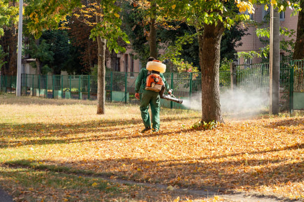 Best Rodent Control Near Me  in Denison, TX