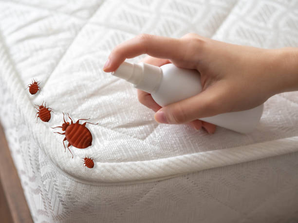 Best Residential Pest Control  in Denison, TX