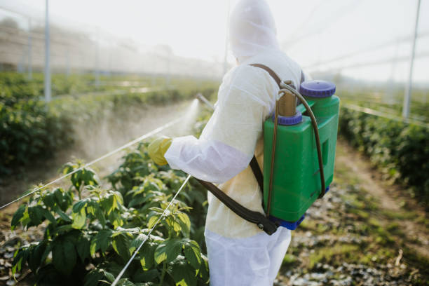 Best Affordable Pest Control Services  in Denison, TX